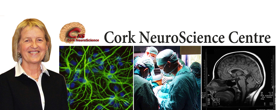 Cork NeuroScience Centre, designated Centre of Excellence in Neurodegeneration
