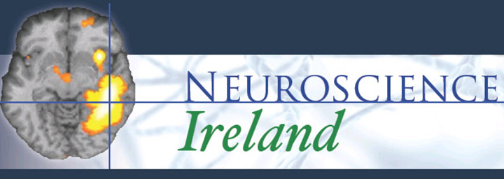 Department of Anatomy & Neuroscience win Neuroscience Ireland awards 