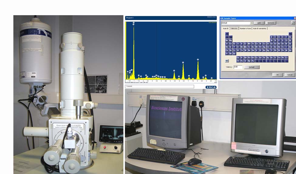 X-ray Spectroscopy