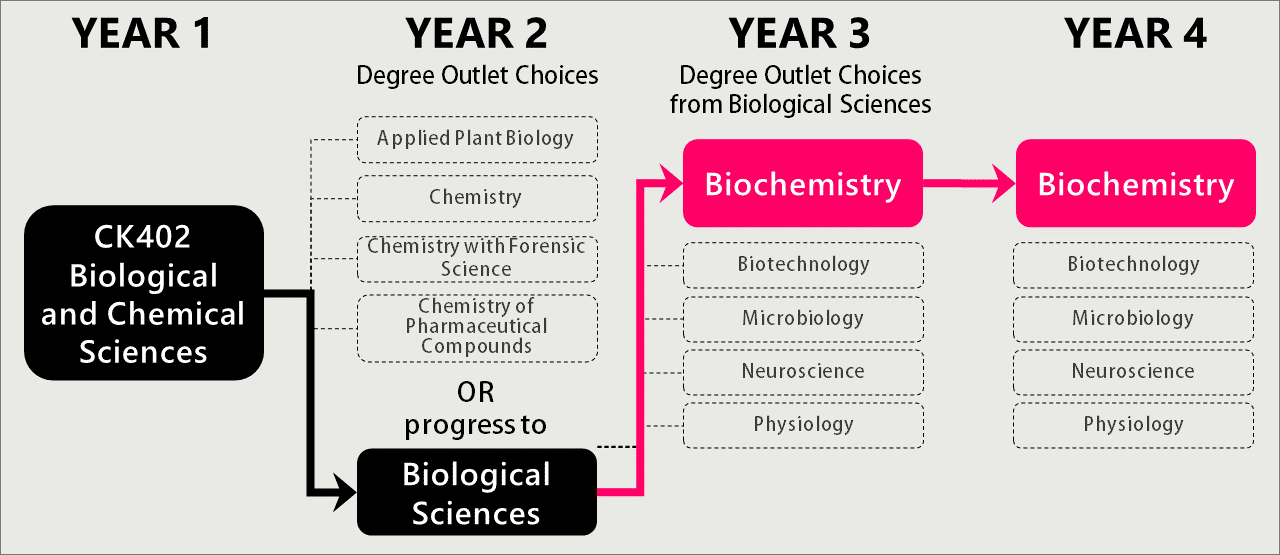 The pathway to a BSc (Hons) in Biochemistry at UCC