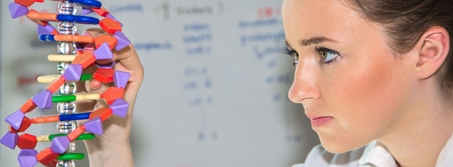 Biochemistry student studies a model of DNA