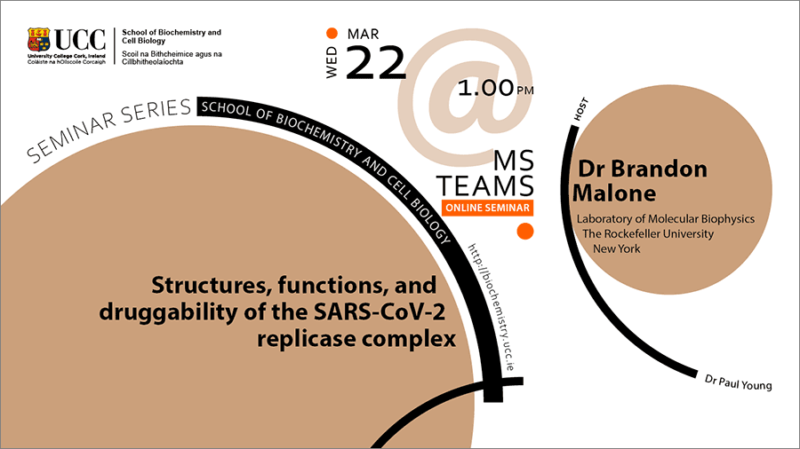 2022-2023 School of Biochemistry and Cell Biology Seminar Series. SEMINAR TITLE: Structures, functions, and druggability of the SARS-CoV-2 replicase complex. SEMINAR SPEAKER: Dr Brandon Malone, Laboratory of Molecular Biophysics, The Rockefeller University, New York. VENUE AND DATE: MS TEAMs (online seminar) @ 1.00pm Wednesday 22 March 2023. ACADEMIC HOST: Dr Paul Young, School of Biochemistry and Cell Biology, UCC