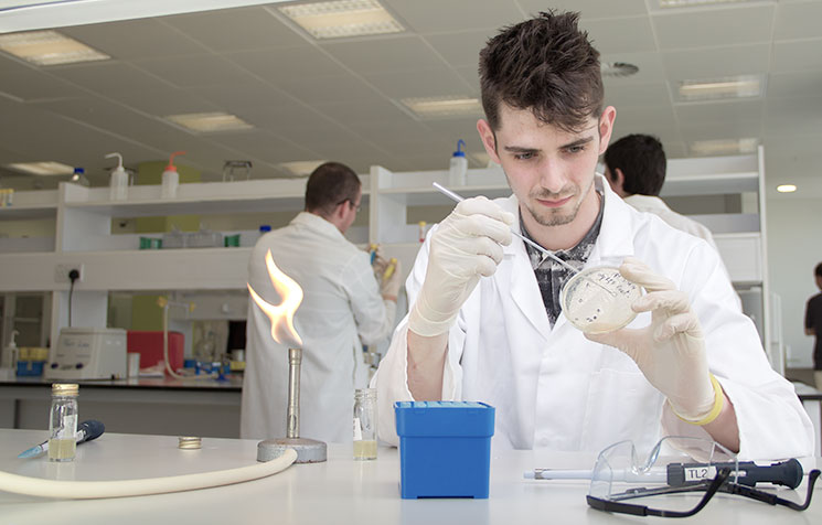 New Masters Programme in UCC:  MSc in Entrepreneurial Synthetic Biology and Biotechnology (MESBB)