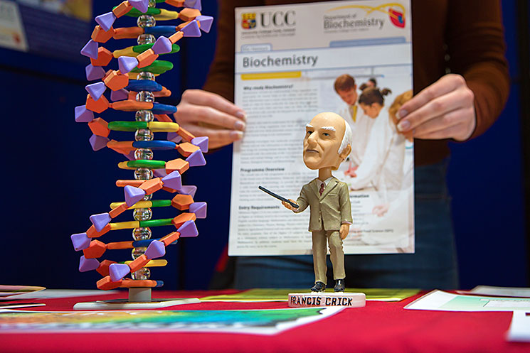 School of Biochemistry and Cell Biology, UCC stand at UCC Open Day 2017