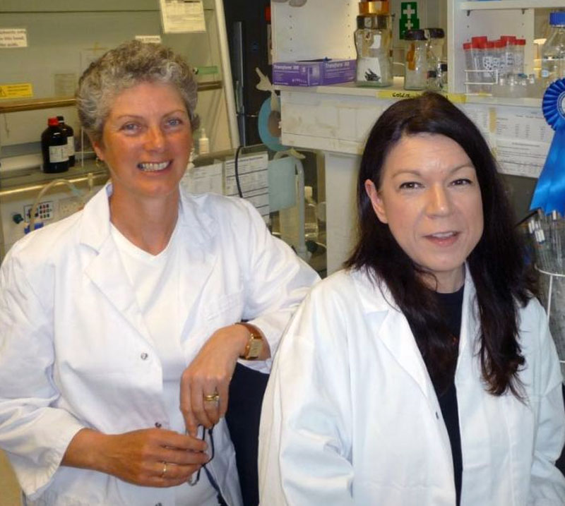 Protein discovery gives hope to future breast cancer patients