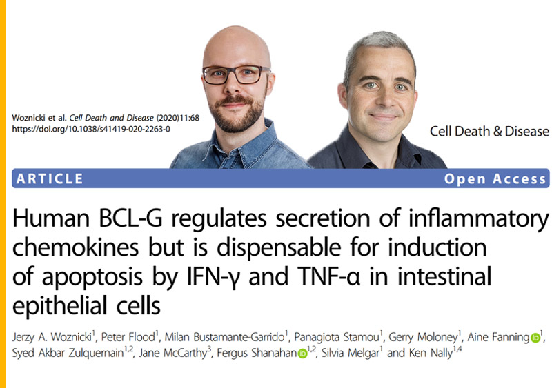 A new, inflammatory function for an ‘orphan’ cell death protein