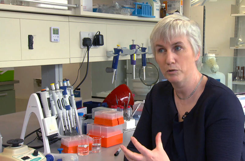 School of Biochemistry staff member, Dr Anne Moore, interviewed on national radio and TV about the Coronavirus.