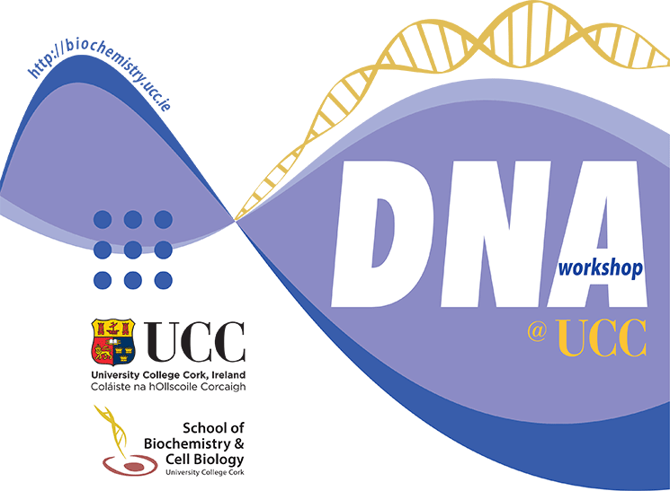 DNA Workshops in aid of Cork Penny Dinners. 