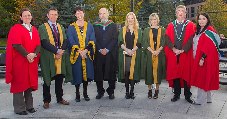 Dr Collette Hand, Dr Brendan O’Connell, Dr Brigid Lucey, Mr Michael Healy, Dr Lesley Cotter, Dr Fiona O’Halloran, Dr John Morgan and Dr Sinéad Kerins