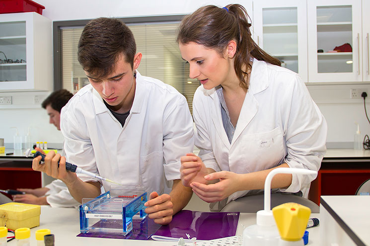 Stephanie Earl, current 4th year Biochemistry student and past pupil of Bandon Grammar School demonstrating to her brother, Rhys, at the DNA workshop. Rhys is currently attending Bandon Grammar School, Cork.