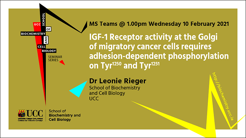 2020-2021 School of Biochemistry and Cell Biology Seminar Series. SEMINAR TITLE: IGF-1 Receptor activity at the Golgi of migratory cancer cells requires adhesion-dependent phosphorylation on Tyr1250 and Tyr1251. SEMINAR SPEAKER: Dr Leonie Rieger, School of Biochemistry and Cell Biology, UCC. VENUE AND DATE: MS Teams @ 1.00pm Wednesday 10th February 2021. ACADEMIC HOST: School of Biochemistry and Cell Biology.