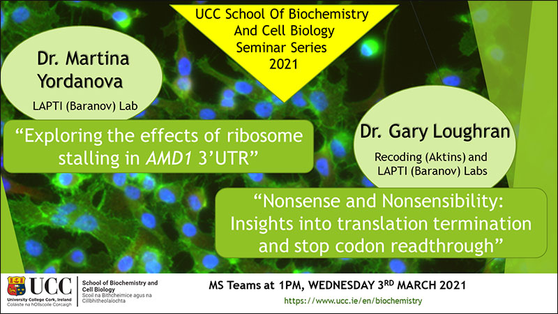 2020-2021 School of Biochemistry and Cell Biology Seminar Series.  SEMINAR TITLE: Exploring the effects of ribosome stalling in AMD1 3’UTR.  SEMINAR SPEAKER: Dr Martina Yordanova and Dr Gary Loughran, School of Biochemistry and Cell Biology, UCC.  VENUE AND DATE: MS Teams @ 1.00pm Wednesday 3rd March 2021.  ACADEMIC HOST: School of Biochemistry and Cell Biology.