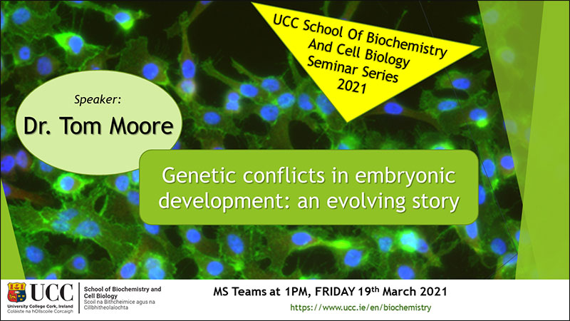 2020-2021 School of Biochemistry and Cell Biology Seminar Series.  SEMINAR TITLE: Genetic conflicts in embryonic development: an evolving story.  SEMINAR SPEAKER: Dr Tom Moore, School of Biochemistry and Cell Biology, UCC.  VENUE AND DATE: MS Teams @ 1.00pm Friday 19th March 2021.  ACADEMIC HOST: School of Biochemistry and Cell Biology.