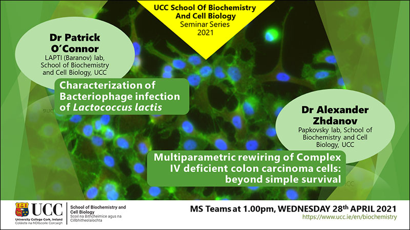 2020-2021 School of Biochemistry and Cell Biology Seminar Series.  SEMINAR TITLES: 1) 