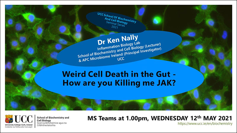 2020-2021 School of Biochemistry and Cell Biology Seminar Series.  SEMINAR TITLE: Weird Cell Death in the Gut - How are you Killing me JAK?.  SEMINAR SPEAKER: Dr Ken Nally, Inflammation Biology Lab, School of Biochemistry and Cell Biology (Lecturer) & APC Microbiome Ireland (Principal Investigator), UCC .  VENUE AND DATE: MS Teams @ 1.00pm Wednesday 12 May 2021.  ACADEMIC HOST: School of Biochemistry and Cell Biology and APC Microbiome Ireland, UCC.