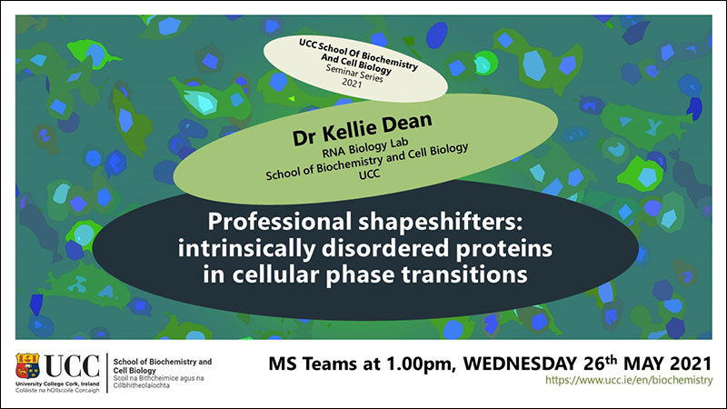 2020-2021 School of Biochemistry and Cell Biology Seminar Series.  SEMINAR TITLE: Professional shapeshifters: intrinsically disordered proteins in cellular phase transitions.  SEMINAR SPEAKER: Dr Kellie Dean, School of Biochemistry and Cell Biology, UCC.  VENUE AND DATE: MS Teams @ 1.00pm Wednesday 26th May 2021.  ACADEMIC HOST: School of Biochemistry and Cell Biology.