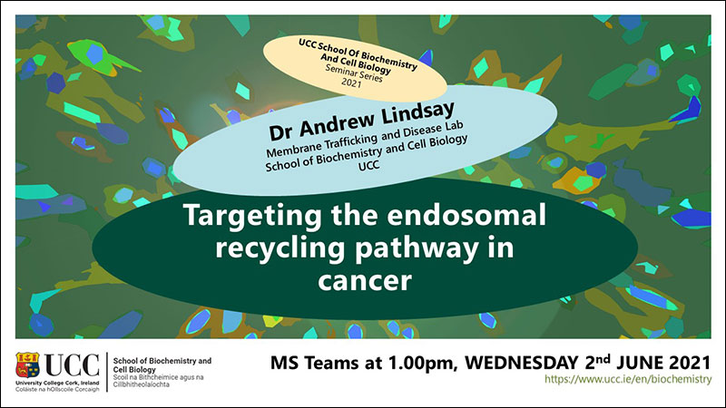 2020-2021 School of Biochemistry and Cell Biology Seminar Series. SEMINAR TITLE: Targeting the Endosomal Recycling Pathway in Cancer. SEMINAR SPEAKER: Dr Andrew Lindsay, School of Biochemistry and Cell Biology, UCC. VENUE AND DATE: MS Teams @ 1.00pm Wednesday 2nd June 2021. ACADEMIC HOST: School of Biochemistry and Cell Biology.
