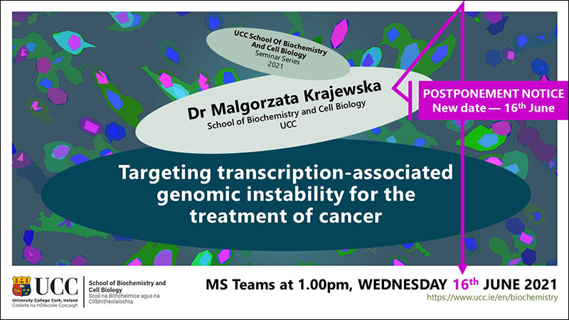 2020-2021 School of Biochemistry and Cell Biology Seminar Series. SEMINAR TITLE: 'Targeting transcription-associated genomic instability for the treatment of cancer. SEMINAR SPEAKER: Dr Malgorzata Krajewska, School of Biochemistry and Cell Biology, UCC. VENUE AND DATE: MS Teams @ 1.00pm Wednesday 9th June 2021. ACADEMIC HOST: School of Biochemistry and Cell Biology.