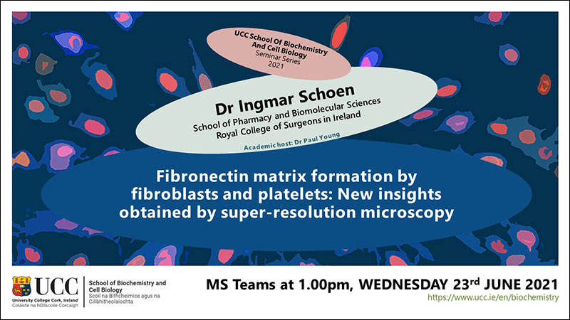 2020-2021 School of Biochemistry and Cell Biology Seminar Series. SEMINAR TITLE: Fibronectin matrix formation by fibroblasts and platelets: New insights obtained by super-resolution microscopy. SEMINAR SPEAKER: Dr Ingmar Schoen, School of Pharmacy and Biomolecular Sciences  Royal College of Surgeons in Ireland. VENUE AND DATE: MS Teams @ 1.00pm Wednesday 23 June 2021. ACADEMIC HOST: Dr Paul Young, School of Biochemistry and Cell Biology, UCC.