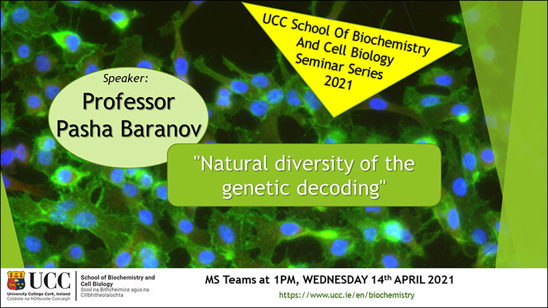 2020-2021 School of Biochemistry and Cell Biology Seminar Series. SEMINAR TITLE: Natural diversity of the genetic decoding. SEMINAR SPEAKER: Professor Pasha Baranov, School of Biochemistry and Cell Biology, UCC. VENUE AND DATE: MS Teams @ 1.00pm Wednesday 14th April 2021. ACADEMIC HOST: School of Biochemistry and Cell Biology