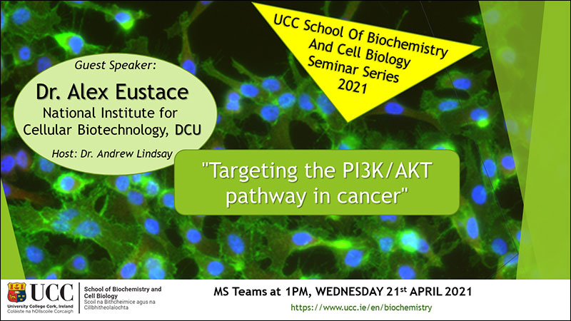 2020-2021 School of Biochemistry and Cell Biology Seminar Series. SEMINAR TITLE: Targeting the PI3K/AKT pathway in cancer. SEMINAR SPEAKER: Dr Alex Eustace, National Institute for Cellular Biotechnology, DCU. VENUE AND DATE: MS Teams @ 1.00pm Wednesday 21st April 2021. ACADEMIC HOST: Dr Andrew Lindsay, School of Biochemistry and Cell Biology.