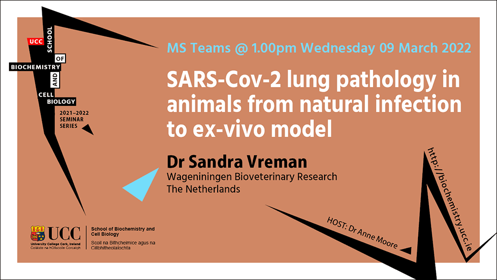 2021-2022 School of Biochemistry and Cell Biology Seminar Series. SEMINAR TITLE: SARS-Cov-2 lung pathology in animals from natural infection to ex-vivo model. SEMINAR SPEAKER: Dr Sandra Vreman, Wageniningen Bioveterinary Research, The Netherlands. VENUE AND DATE: MS Teams@ 1.00pm Wednesday 09 March 2022. ACADEMIC HOST: Dr Anne Moore, School of Biochemistry and Cell Biology, UCC
