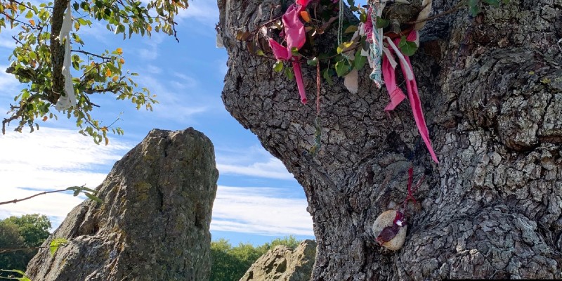 (Re)Sacralizing Stones: Spiritual Engagements with Megaliths in Belgium