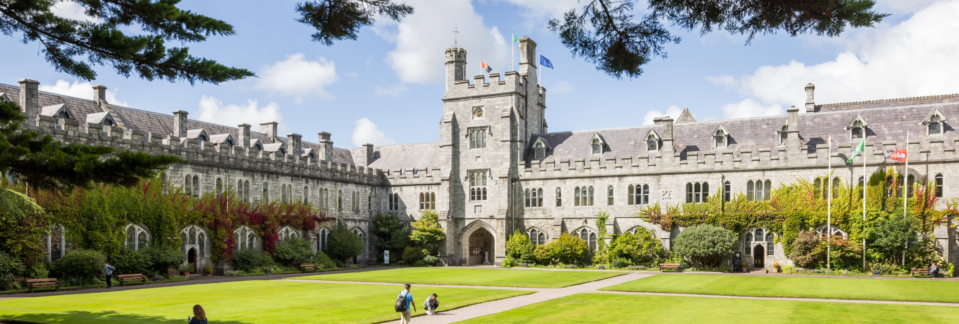 Image of UCC Quad Large