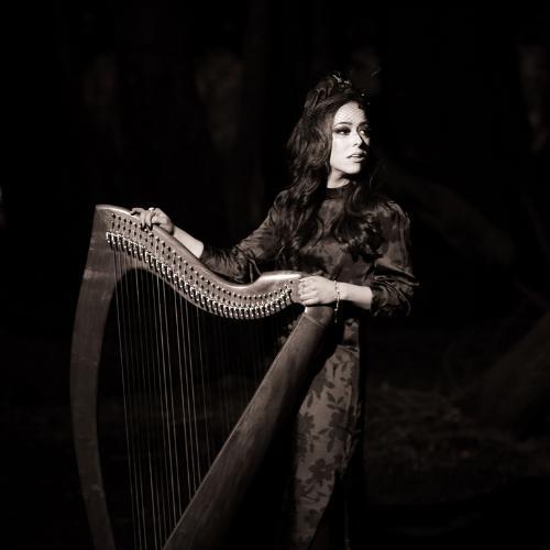 BRÍDÍN - Contemporary Harpist