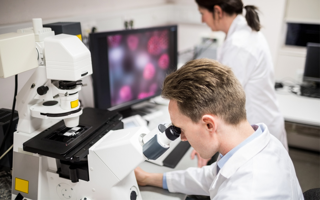 Student looking under a microscope