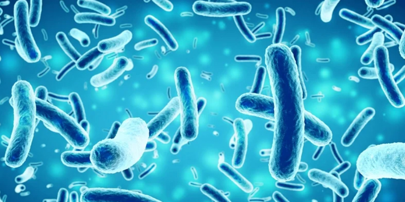 RTÉ Brainstorm | How Do Tiny Organisms Like Bacteria Communicate?