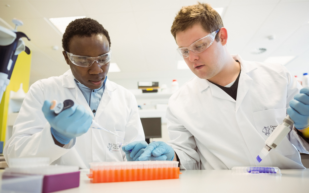 Two male students working in a laboratory