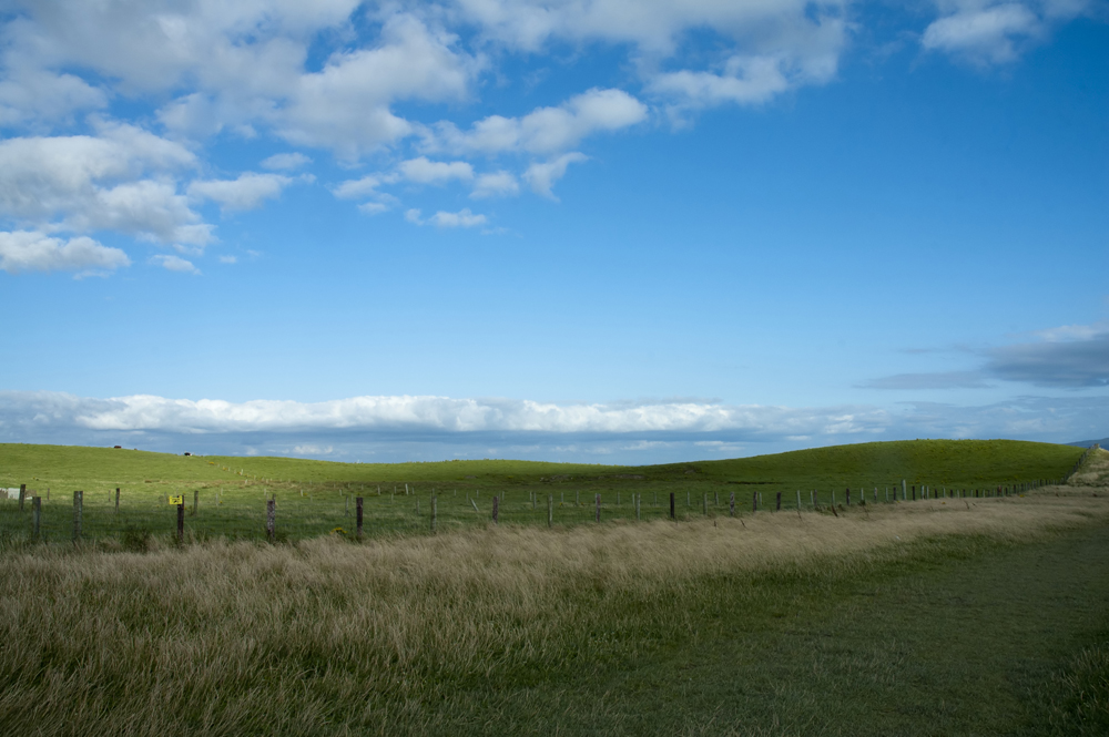 Ireland could benefit from greenhouse gas finding