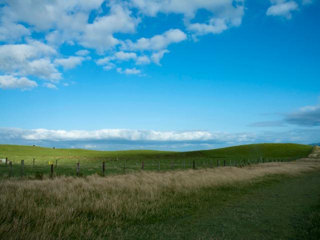 Environmental Engineering Research: Irish Grasslands Sequester Carbon