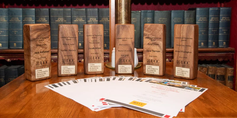 Image of 6 wooden awards on display