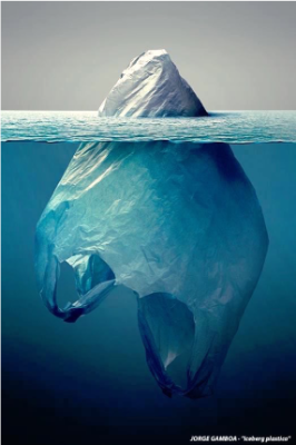 Iceburg Iceburg