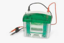 Bio-Rad Mini PROTEAN, SDS-PAGE Electrophoresis Unit - UCC