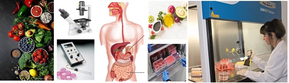 Nutrient Bioavailability Research Group