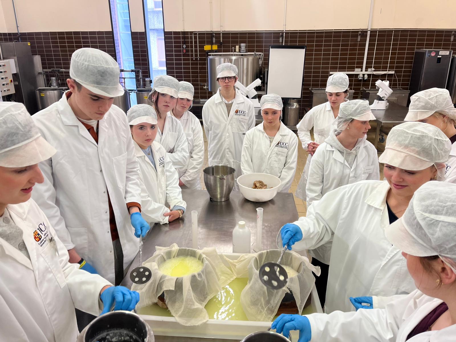 2026 Transition Year Schools Programme