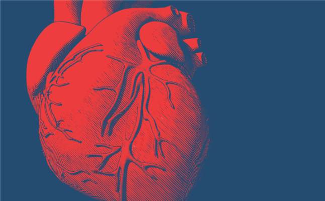 Cardiovascular Study Day - 9th February 2019