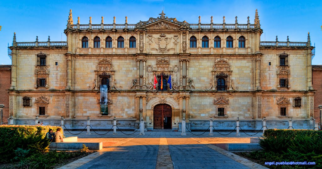 SCHOLARSHIP IN ALCALÁ