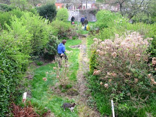 Vegetable Garden