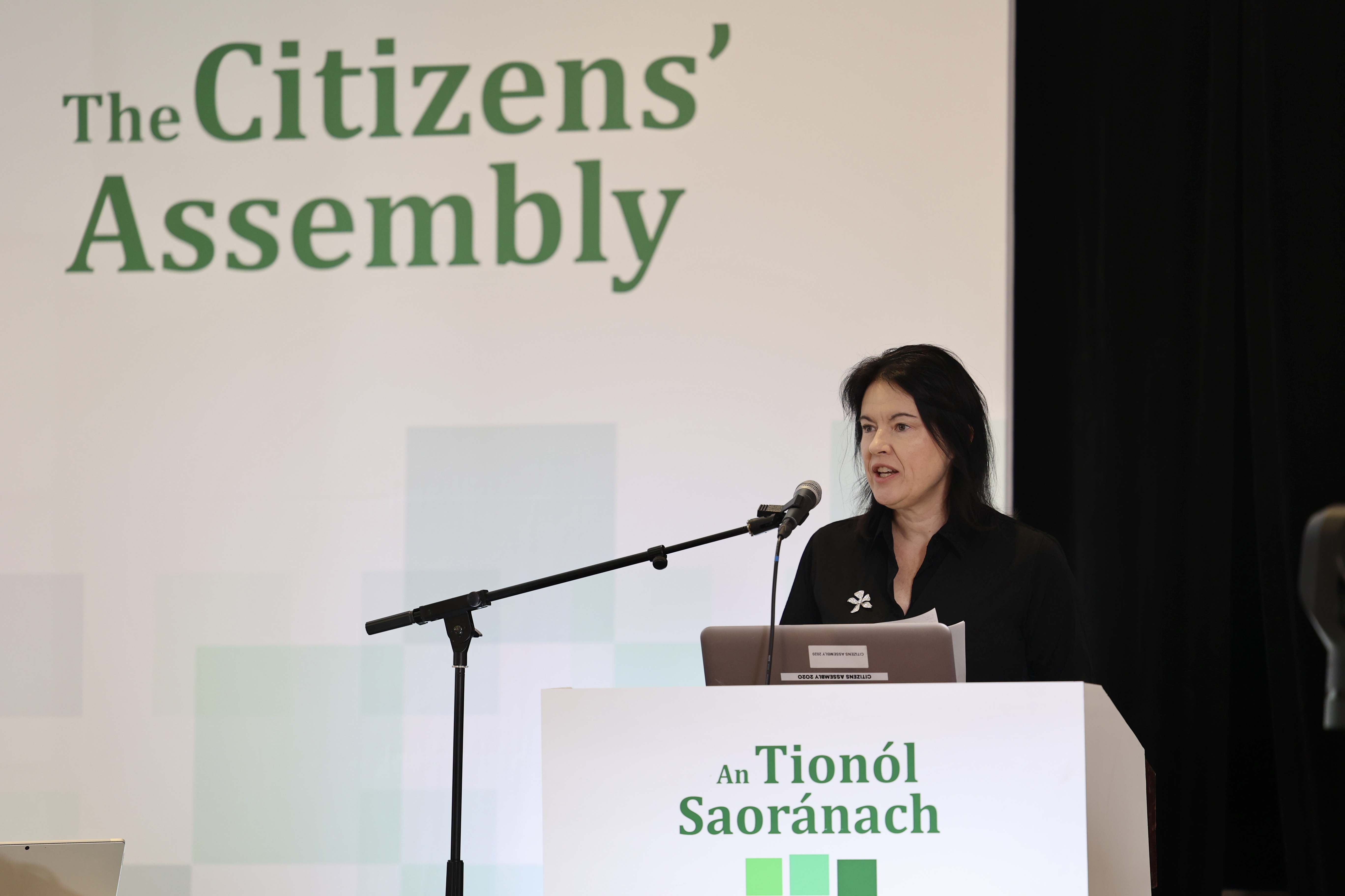 Professor Áine Ryall contributes to Citizens’ Assembly on Biodiversity Loss