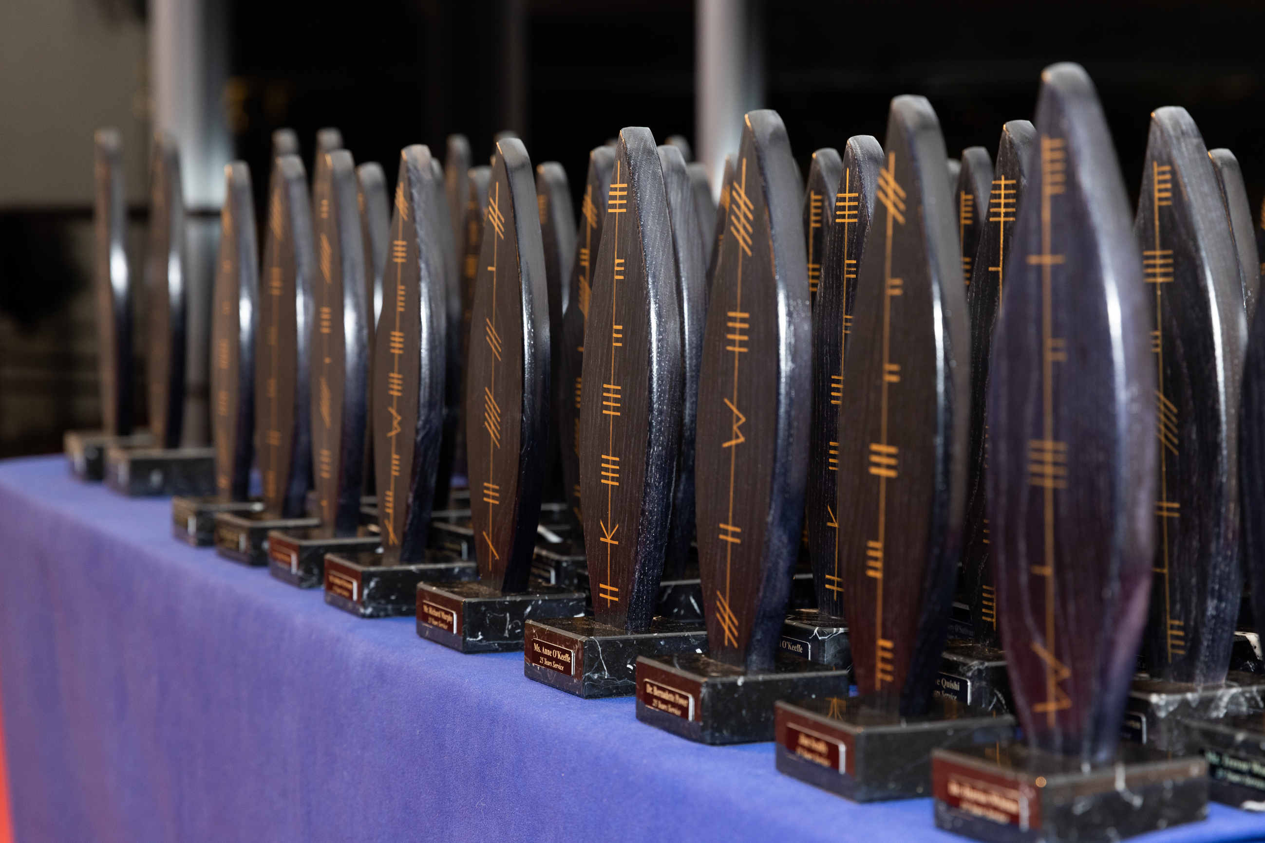 School of Law staff recognised at UCC Long Service Awards 2024