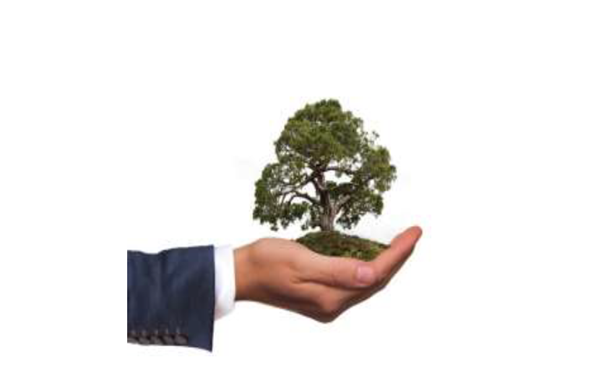 Save the Date: Annual UCC Law and the Environment Conference 2025 - Thursday, 1st May