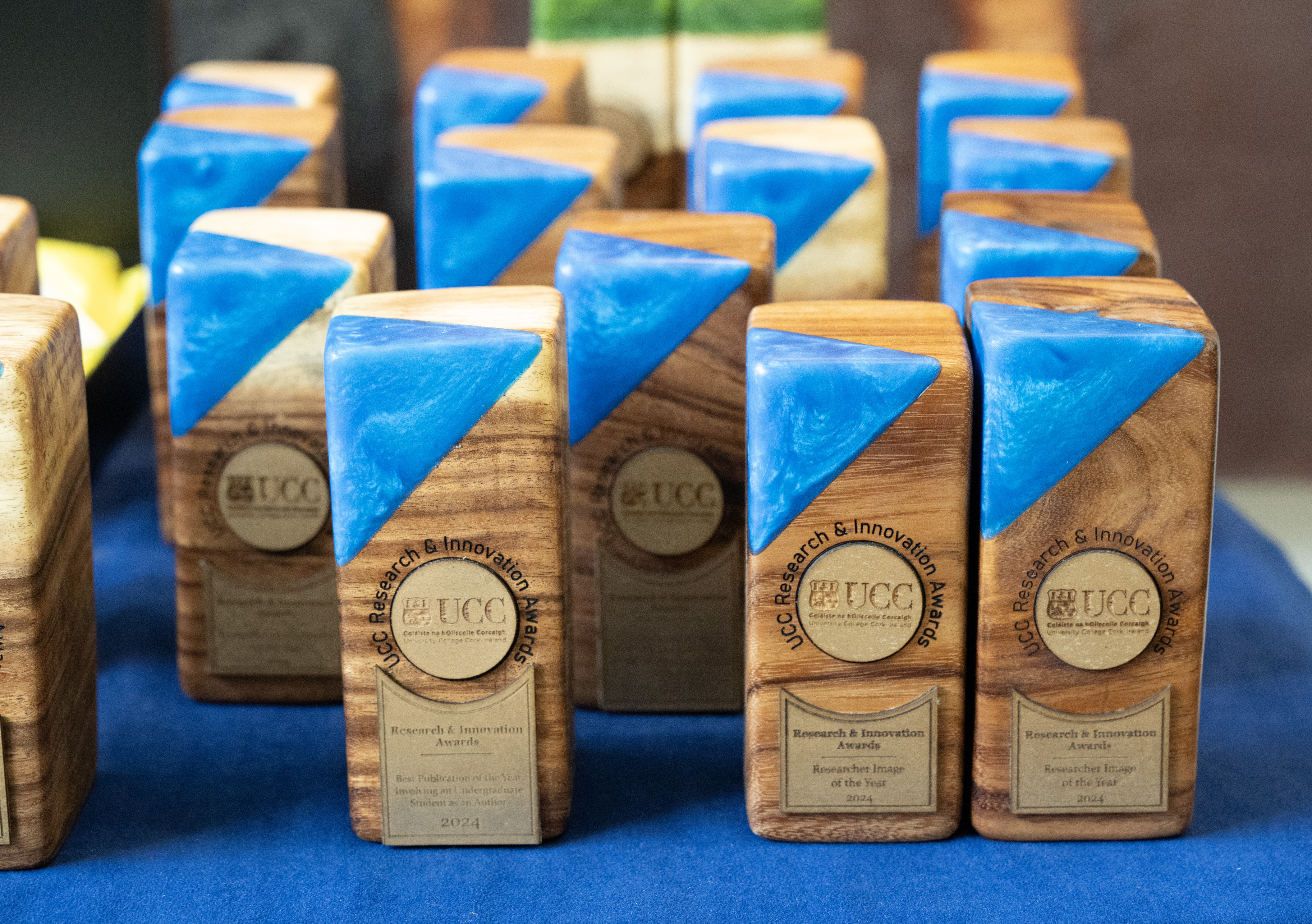 UCC awards celebrate excellence in research and innovation