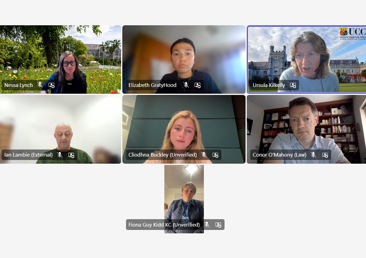 UCC hosts online panel conversation on the sentencing of children for serious offences 