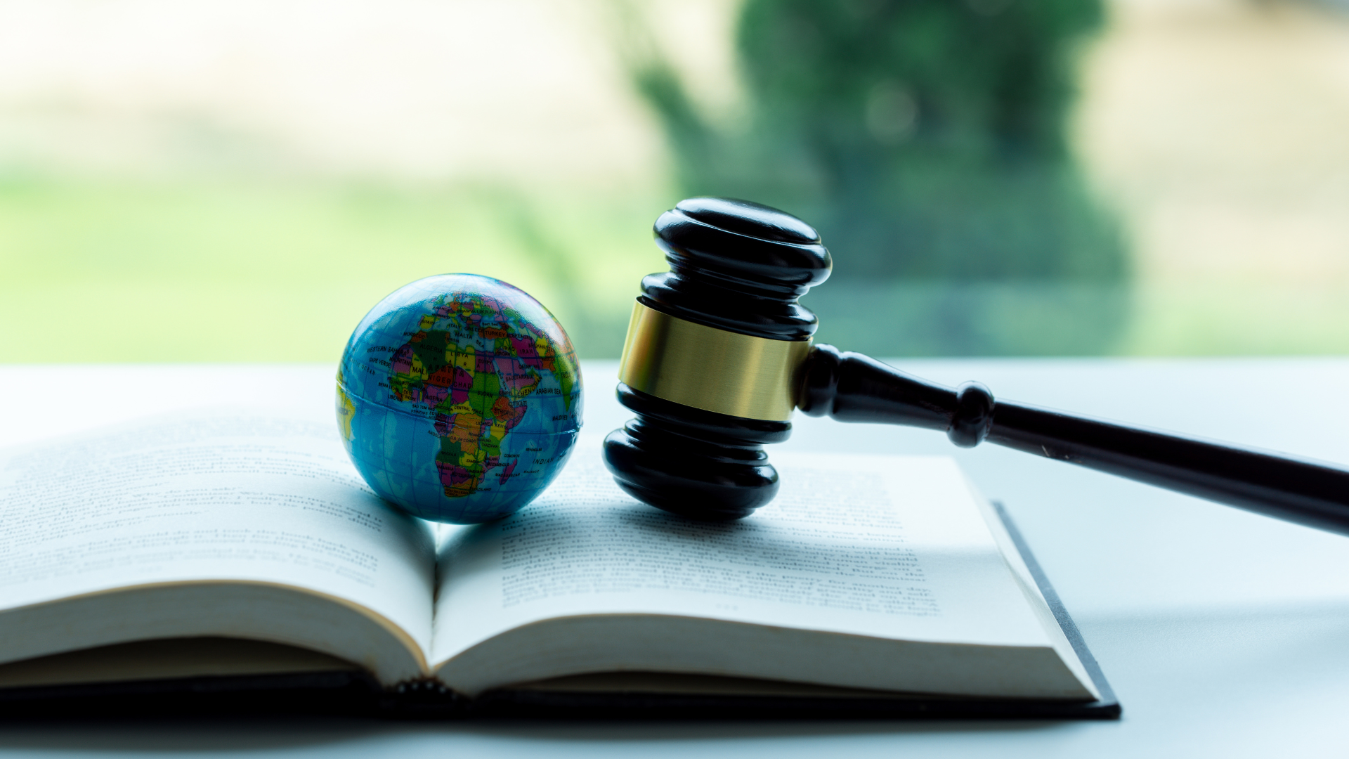 PhD research on environmental justice &ndash; Central European University (CEU) Austria