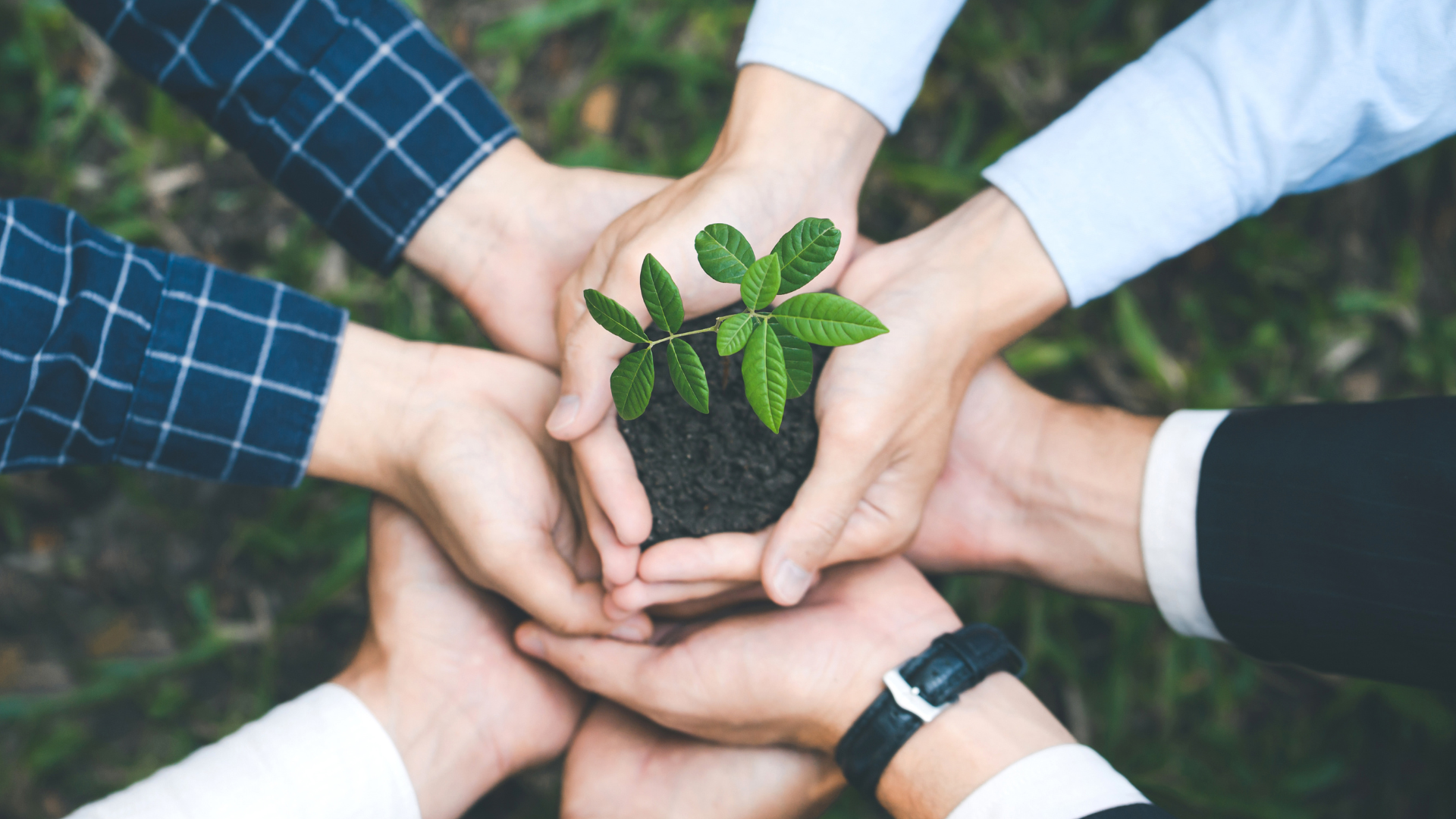 ESRC WGSSS studentship in Environmental Planning - PhD &ndash; Aberystwyth University, UK