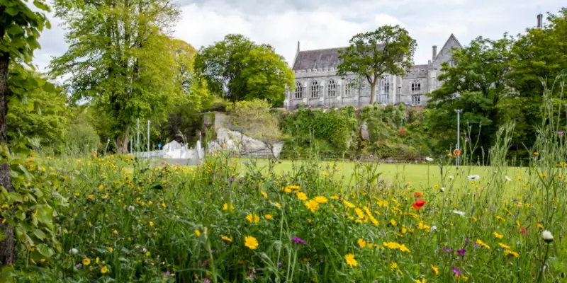 We are hiring! Lecturer (Above the Bar) in Law & French